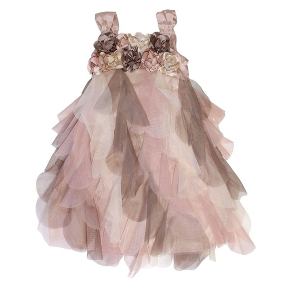 Biscotti Other - Girl's Brown Pink Ruffle Dress Biscotti Size 12
